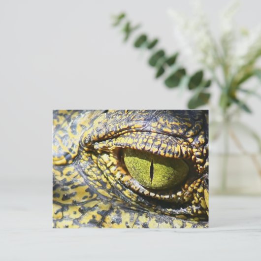 Krokodile Eye Postkarte (Stehend Vorderseite)