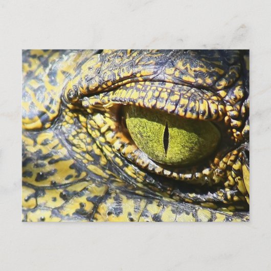 Krokodile Eye Postkarte (Vorderseite)