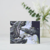 Krokodile Farm Postkarte (Stehend Vorderseite)