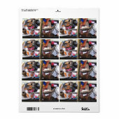 Krokodile Fleisch GRILLEN ... Thailand Street Food (Vorne)