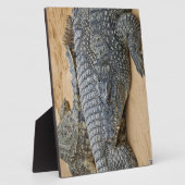 Krokodile Fotoplatte (Seite)