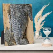 Krokodile Fotoplatte (Seite)