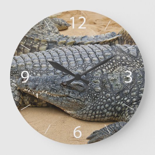 Krokodile Große Wanduhr (Vorderseite)