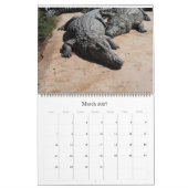 Krokodile  kalender (Mär 2027)