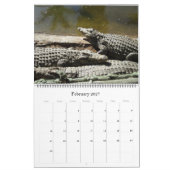 Krokodile  kalender (Feb 2027)