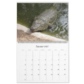 Krokodile  kalender (Jan 2027)