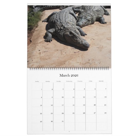 Krokodile  kalender (Mär 2026)