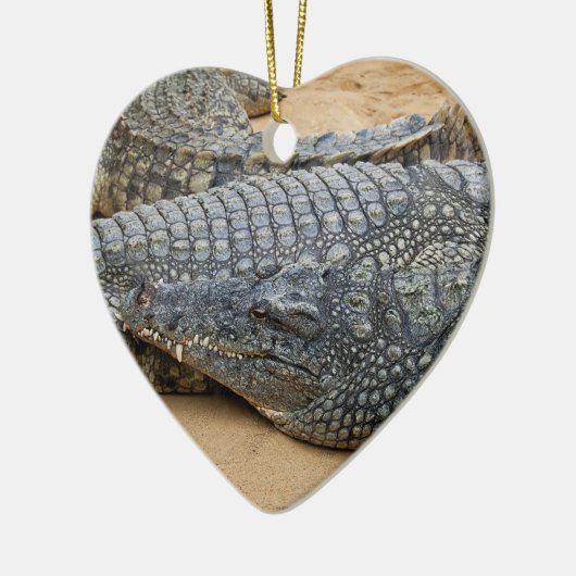 Krokodile Keramikornament (Links)