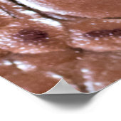 Krokodile Leder texturiert Hintergrund abstract, a Poster (Ecke)