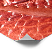 Krokodile Ledertextur Poster (Ecke)