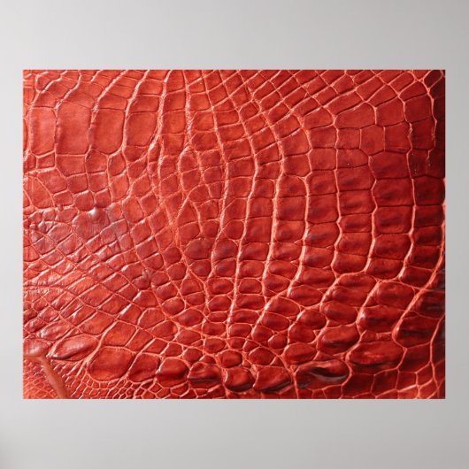 Krokodile Ledertextur Poster (Vorne)
