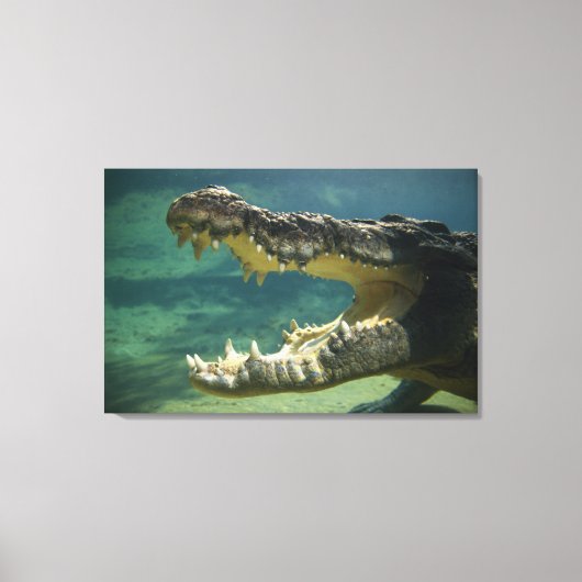 Krokodile Leinwanddruck (Vorderseite)