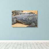 Krokodile Leinwanddruck (Insitu (Holzboden))