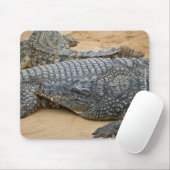 Krokodile Mousepad (Mit Mouse)