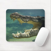 Krokodile Mousepad (Mit Mouse)