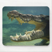 Krokodile Mousepad (Vorne)