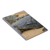 Krokodile Notizblock (Rechte Seite)