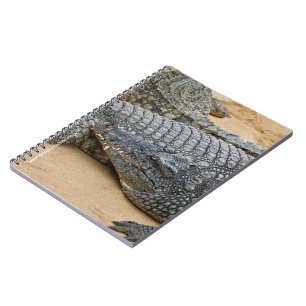 Krokodile Notizblock