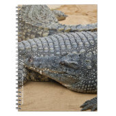 Krokodile Notizblock (Vorderseite)