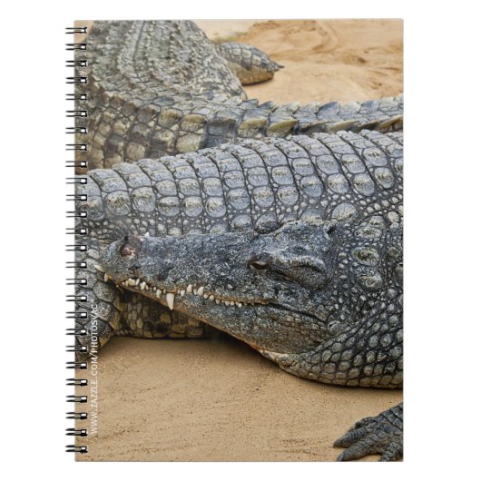 Krokodile Notizblock (Vorderseite)