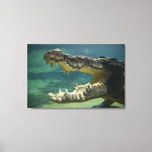 Krokodile öffnen Mund Leinwanddruck