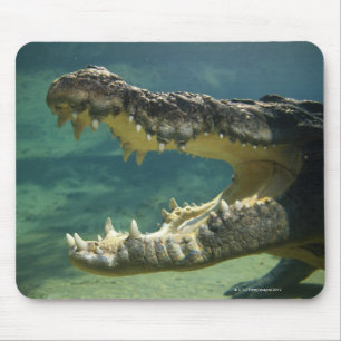 Krokodile öffnen Mund Mousepad