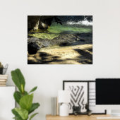 Krokodile Poster (Heimbüro)