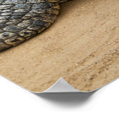 Krokodile Poster (Ecke)