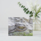 Krokodile Postkarte (Stehend Vorderseite)