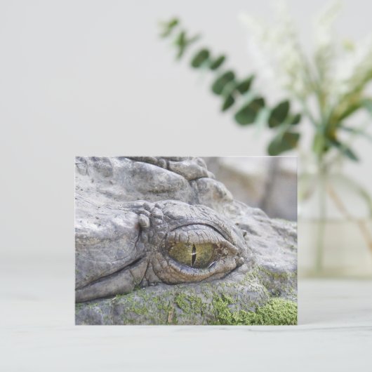 Krokodile Postkarte (Stehend Vorderseite)