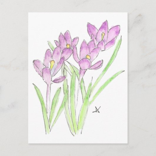 Krokodile Postkarte (Vorderseite)