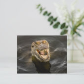 Krokodile Postkarte (Stehend Vorderseite)