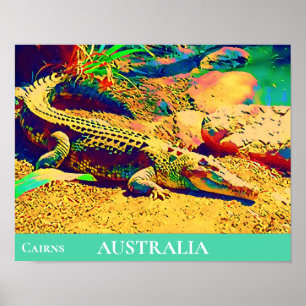Krokodile Reptil Tropical Queensland Australien Poster