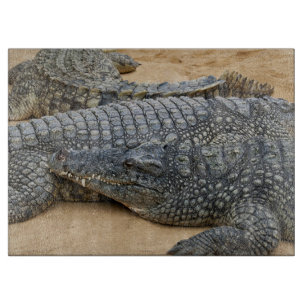 Krokodile Schneidebrett