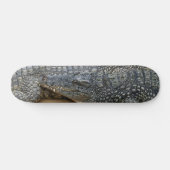 Krokodile Skateboard (Horizontal)