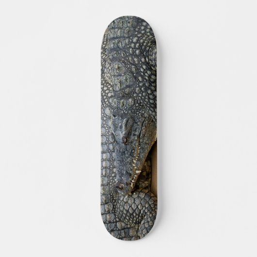 Krokodile Skateboard (Vorne)