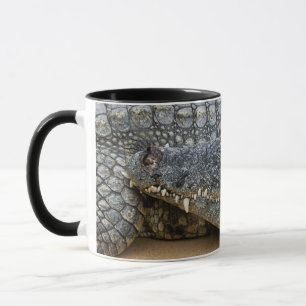 Krokodile-Tasse Tasse