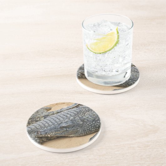 Krokodile Untersetzer (Seite)