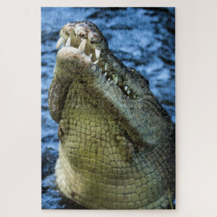 Krokodile Zähne Wasser Puzzle