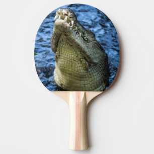 Krokodile Zähne Wasser Tischtennis Schläger