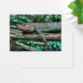 Krokodilteju (Schreibtisch)