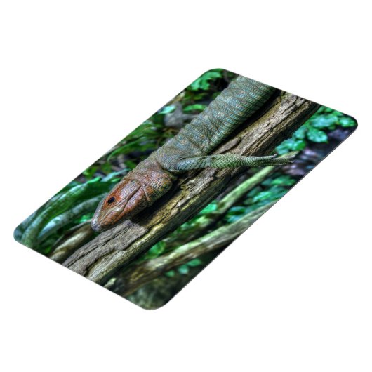 Krokodilteju Magnet (Linke Seite)