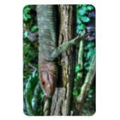 Krokodilteju Magnet (Vertikal)