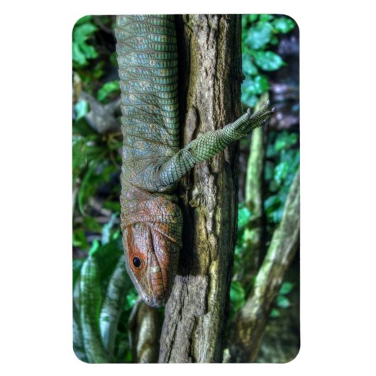 Krokodilteju Magnet (Vertikal)