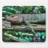 Krokodilteju Mousepad (Vorne)