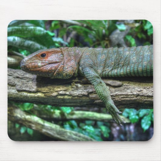 Krokodilteju Mousepad (Vorne)