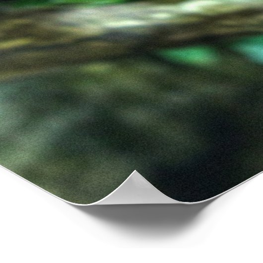 Krokodilteju Poster (Ecke)