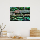 Krokodilteju Poster (Küche)