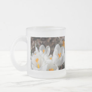 Krokus,番红花 Mattglastasse