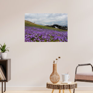 Krokus-Blume in Velika Planina, Slowenien Poster